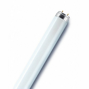 OSRAM FD T26 L18-950-12 5400K DAYLIGHT