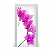 tulup.si Nalepka na vratih Roza orhideje 95x205 cm
