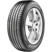 Firestone Roadhawk ( 205/55 R16 91V EVc )