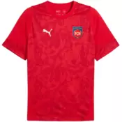 Puma Dres 1.FC Heidenheim Training Shirt