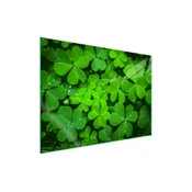 shumee Steklena zaščitna plošča za štedilnik 70x52 Leaf