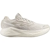 Salomon Aero Glide 4
