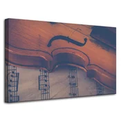 shumee Platno z motivom violine in violine 80x50 cm