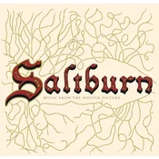 Various Artists - Saltburn (Music From The Motion Picture) (Deluxe Edition) (Gold Coloured) (LP)