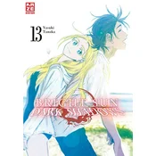 Bright Sun - Dark Shadows - Band 13 (Finale)