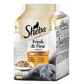 Sheba Fresh & Fine vrecice za odrasle macke izbor peradi u soku, 12 x 50 g
