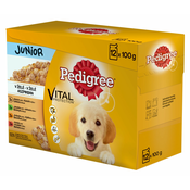 Vrečka s hrano v želatini Pedigree Junior 12x100 g