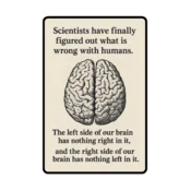 Športni bidon iz aluminija s karabinom – Scientists & the brain