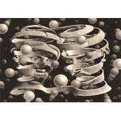 Clementoni Slagalica M. C. Escher Bond Of Union, 1000 dijelova