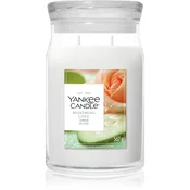 Yankee Candle Blooming Love dišeča sveča 567 g
