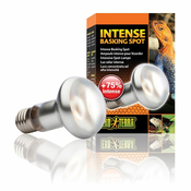 Žarnica EXOTERRA INTENSE BASKING SPOT 100W
