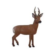 Rinehart Target 3D Roe Deer