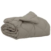 Vidaxl Poletna odeja Svetlo siva 220 x 140 cm Mikrovlakna