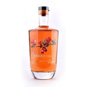 Salaški san Rakija Dunja barrique 43% vol, 700ml