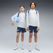 PUMA Manchester City Training Shorts Youth, Clothing, Blue Jewel/Dewdrop, 9-10Y