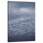 shumee Platno s tiskom Narava Gozd v snegu 80x120 cm