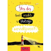 Šta da (ne) radiš u slucaju nevidljivosti