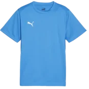 Puma Majica teamGOAL T-Shirt