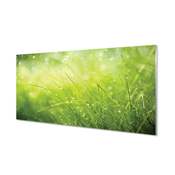 tulup.si Zidna obloga za kuhinju Grass rosišča kapljic 140x70 cm