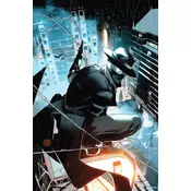 Spider-Man Noir