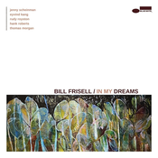 Bill Frisell - In My Dreams (2 LP)