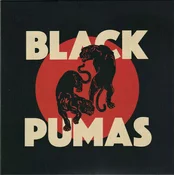 BLACK PUMAS - Black pumas