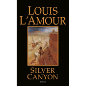 Silver Canyon