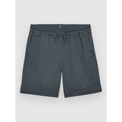 Volcom Frickin EW Kids Shorts dark slate