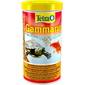 Tetra Gammarus