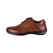 Josef Seibel New Anvers pisana
