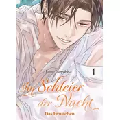 Im Schleier der Nacht: Das Erwachen 01 (Im Schleier der Nacht 03)