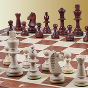 Šah Tournament No.4 Inlaid New Line