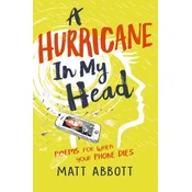 A Hurricane in my Head