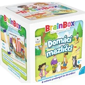 BrainBox - hišni ljubljenčki