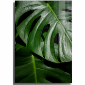 Staklena slika 70x100 cm Monstera - Wallity