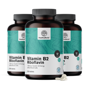 3x Vitamin B2 – riboflavin 100 mg, skupaj 600 tablet