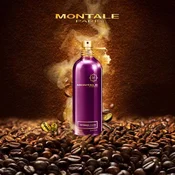MONTALE unisex parfumska voda Intense Cafe, 100ml