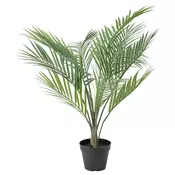FEJKA Veštacka biljka u saksiji, unutra/spolja palma areka, 12 cmPrikaži specifikacije mera
