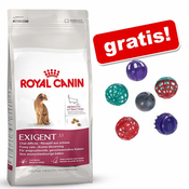 10 kg Royal Canin + Catessy palčke s puranom 10 kosov gratis! - Kitten