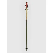 Völkl Phantastick 16mm Poles 2025 Ski Poles green