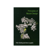 Principles of Neural Design