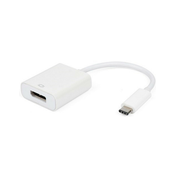 Adapter E-Green USB-C (M) - Display Port (F)