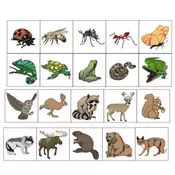 Insekti ,životinje iz šume -gmizavci životinje sa magnetom 2D 4+