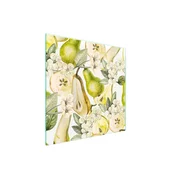 shumee Steklena zaščitna plošča za štedilnik 50x52 Fruit