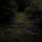 Fireworks - Higher Lonely Power (Limited Edition) (Coloured) (LP)