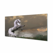 tulup.si Stenska plošča za kuhinjo Unicorn vrh 125x50 cm