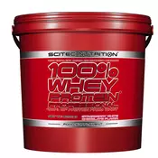SCITEC NUTRITION proteini 100% Whey Protein Professional, 5kg