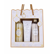 ACCENTRA SET 200ml GEL ZA TUŠIRANJE 210g SOL IN 60ml KREMA ZA ROKE WINTER MAGIC
