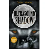 Ultrasound Shadow