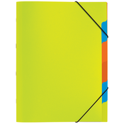 PAGNA Organizator mapa PAGNA, Funky School, DIN A4, PP, 5 predelkov, (21652359)